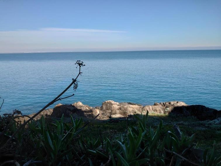 4Rb4 Appartement Type T2 Bord De Mer Acces Plage Direct กูลิอูร์ ภายนอก รูปภาพ